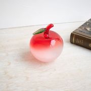 【Fun Science】ストームグラス りんご