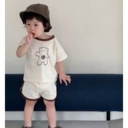男の子 半袖半ズボン 2点セット 夏 子供 通園 通学  夏服 子供服