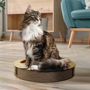 またたび付きサークルコロコロボール（大） AXL-770