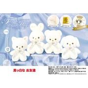 真っ白なお友達