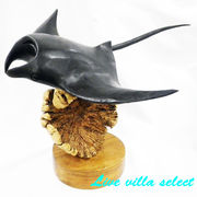 木彫り ブラックマンタ