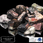 【日本銘石】さざれ　牡丹石　〈北海道〉　100g　パッケージ付き　花王　花神　愛