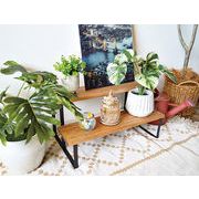 ☆Blunt WOOD2段シェルフL　棚/ディスプレイ/台/ラック/家具