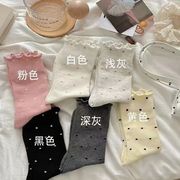 2025★ソックス★大人靴下★ 6色