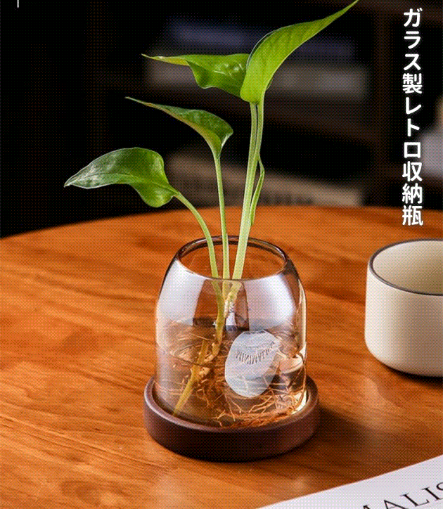 品質良い!店舗お勧め!早い者勝ち ガラス製レトロ収納瓶 植栽展示・花瓶 家庭用多目的容器