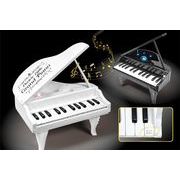 エレクトリックリトルグラドピアノ　5085