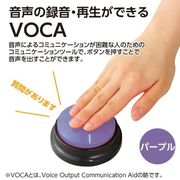 RECプッシュ パープル 75819