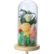 お供えガラスドームアレンジメント 羽衣 C20030L