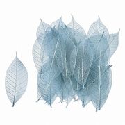 【2026年SS新作】ドライフラワー　ミニスケルトンリーフ小FLBL　40枚FD051493-134