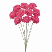 【2026年SS新作】ドライフラワー　ソーラーローズ小　薔薇　TPK　10本FD032081-028