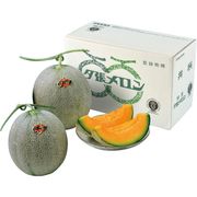 夕張メロン約1.3kg×2玉 1011【直送品】［送料無料］（※出荷は7月上旬～）