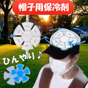 自然凍結 アイスシート 帽子用保冷剤 頭ひんやり ヘッドクールパッド 子供 大人 保冷剤 熱中症対策