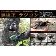 「カブトムシ」チャージ式昆虫王 ラジコン