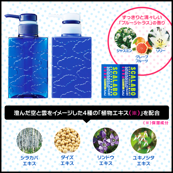 ケース販売】 SCALABO 薬用スカルプケア 300ml スカラボ