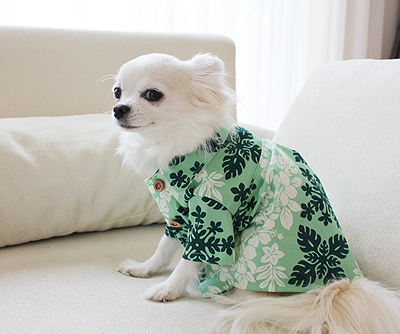 日本製 セレブスタイル 高品質ペットウェア 犬服 犬用アロハシャツグリーン S M L 雑貨 個人事業主 Sachi 問屋 仕入れ 卸 卸売の専門 仕入れならnetsea