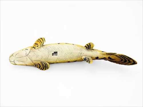 古代魚 ソフトモデルフィギュア/ポリプテリス・エンドリケリー | 卸売