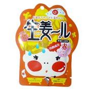 入浴剤（炭酸バスパウダー）　生姜ール・赤　シトラスジンジャー/日本製　　sangobath
