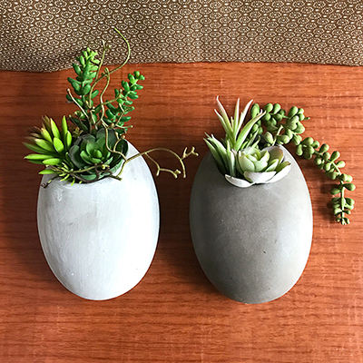 お部屋をグッと華やかに枯れない植物で作る手軽な癒し空間【サキュレントウォールポット・S】