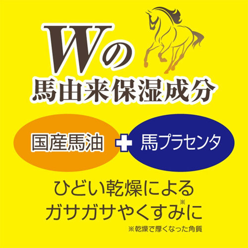 くすみもケアする高保湿タイプ / ロッシモイストエイド EXスキン