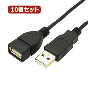 変換名人 【10個セット】 極細USBケーブルAオス-Aメス 3m USB2A-AB/CA