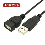 変換名人 【10個セット】 極細USBケーブルAオス-Aメス 5m USB2A-AB/CA
