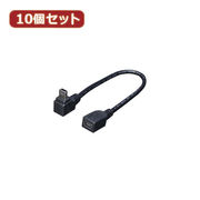 変換名人 【10個セット】 USBmini L型ケーブル延長20(下L) USBM-CA2