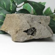 【天然石 パワーストーン】ハーキマーダイヤモンド（ハーキマー水晶）母岩付450g