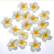 プルメリア（スポンジ造花）ホワイト