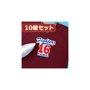 【10個セット】インクジェット用化繊布用アイロンプリント紙 JP-TPRTENA6X10