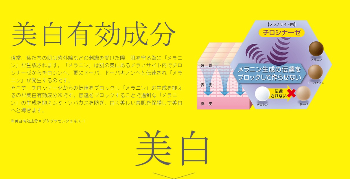 薬用 美白乃美人ピーリングジェル 株 ブレーンコスモス 美容 健康 総合雑貨卸 fine selection 問屋 仕入れ 卸 卸売の専門 仕入れならnetsea