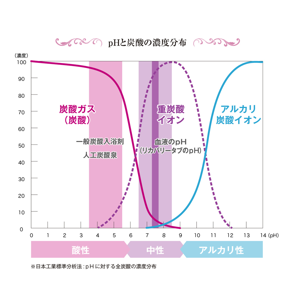 薬用入浴剤リカバリータブリッチ アルギニン配合 医薬部外品 1箱 錠入り 日本製 雑貨 有限会社 ニチギン 問屋 仕入れ 卸 卸売の専門 仕入れならnetsea