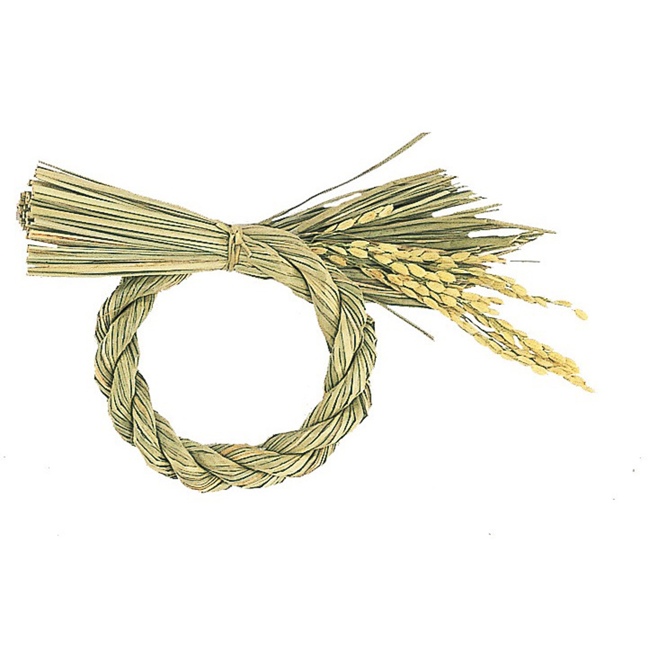 稲穂丸〆 小　ベース　しめ縄　1組(2コ)　