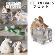 ■キーストーン■　ICE ANIMALS　ラビット