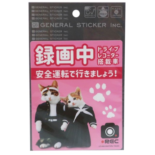 ステッカー なめんなよ ドライブレコーダーステッカー ピンク なめ猫 株式会社 ブライエンタープライズ 問屋 仕入れ 卸 卸売の専門 仕入れならnetsea