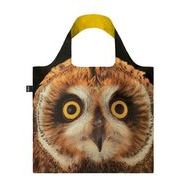 エコバッグ National Geographic Short-eared Owl