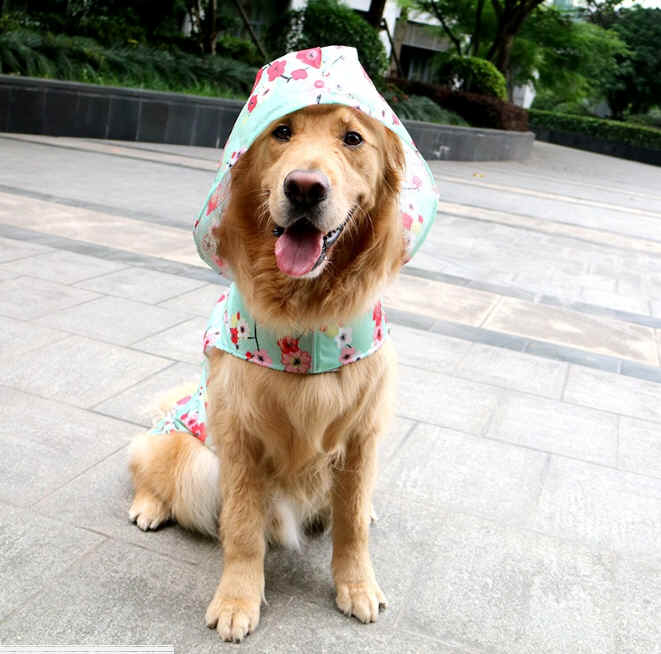 中型犬 大型犬 レインコート 大きいサイズ 犬服 犬 ペット用品 雑貨 株式会社 桜華商事 問屋 仕入れ 卸 卸売の専門 仕入れならnetsea