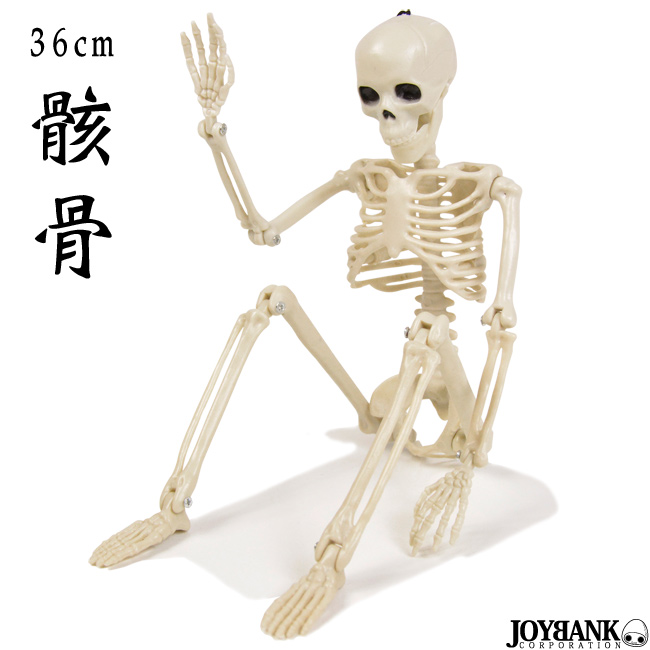 骸骨 フィギュア（36cm） 【おもちゃ/ガイコツ/どくろ/インテリア