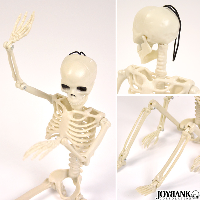 骸骨 フィギュア 36cm おもちゃ ガイコツ どくろ インテリア ホラー ハロウィン 雑貨 雑貨 Joybank Corporation 問屋 仕入れ 卸 卸売の専門 仕入れならnetsea