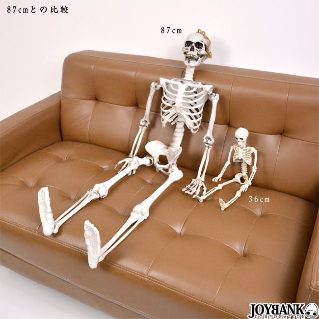 骸骨 フィギュア 36cm おもちゃ ガイコツ どくろ インテリア ホラー ハロウィン 雑貨 雑貨 Joybank Corporation 問屋 仕入れ 卸 卸売の専門 仕入れならnetsea