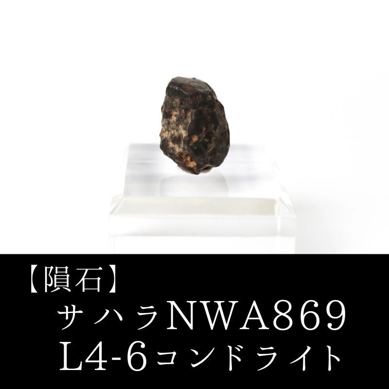 【隕石】サハラNWA869隕石 L4-6コンドライト サハラ砂漠産 2000年 原石 置物