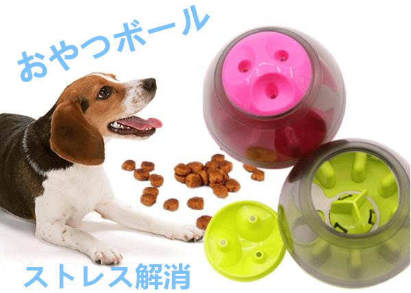 犬用 おやつボール おやつ おもちゃ 早食い防止 餌入れ エサ 供給 菅野 合同会社 問屋 仕入れ 卸 卸売の専門 仕入れならnetsea