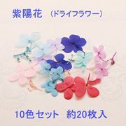 紫陽花　10色セット　約20枚入り【2019/7/10入荷】 即納