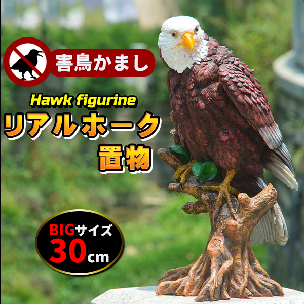 木彫の鷲 鷹 - 置物