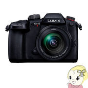 Panasonic パナソニック LUMIX Gシリーズ ミラーレス 一眼カメラ DC-GH5M2M 標準ズームレンズキット