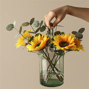 シンプル クリエイティブ 水耕栽培 装飾 ハンドバッグ ガラス 花瓶 透明な