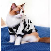 センスアップ 韓国ファッション 服 ペット 猫 お出かけ オシャレ 写真 テディ ライブ放送