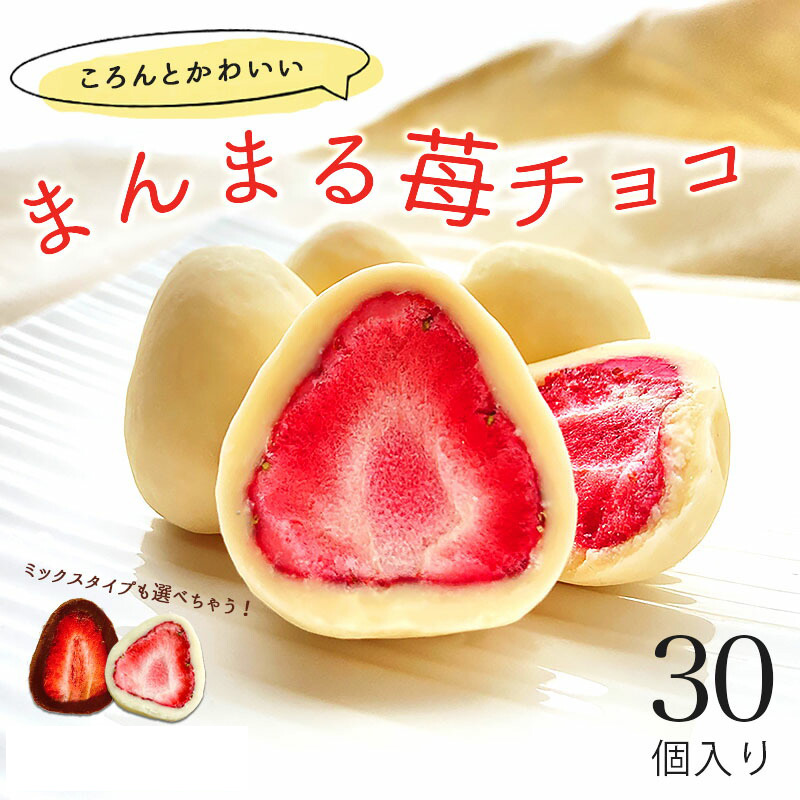 日本産 個装 インスタ話題 苺チョコ いちご 300g クリスマス ギフト バレンタイン お菓子 チョコレート