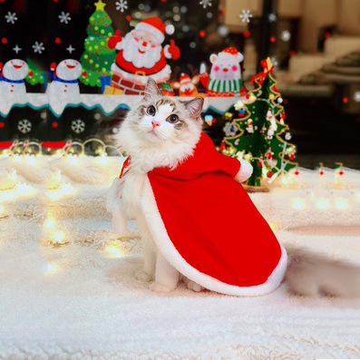 【ペット用品】★♪猫雑貨★♪猫服★★♪暖かい★♪クリスマス用マント★♪ 秋冬新作★♪可愛いペット服