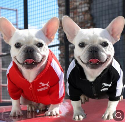 ペット用品★ペット服★犬服★ネコ服　トレーナー　2色　S-4XL