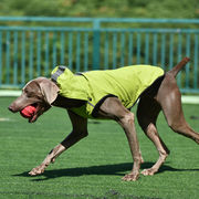 フード付き防水犬用レインコート中型犬大型犬二本足レインコート